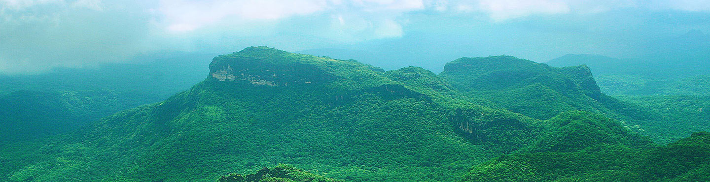 Pachmarhi Hill Station Madhya Pradesh India   Pachmarhi Hill Station Bann 