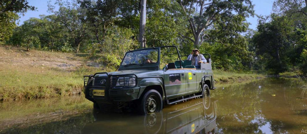 On a Pench Jungle Safari, Every Hour is Like a Golden Hour