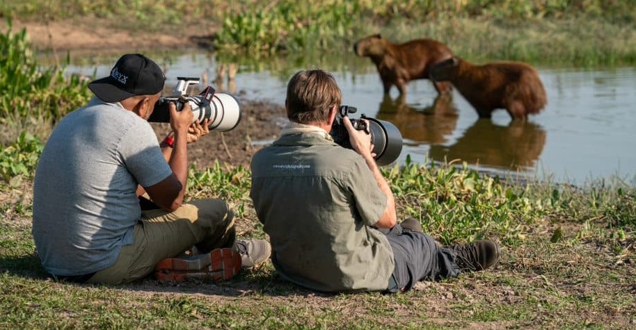 A Guide to Photography Expedition in Pench National Park